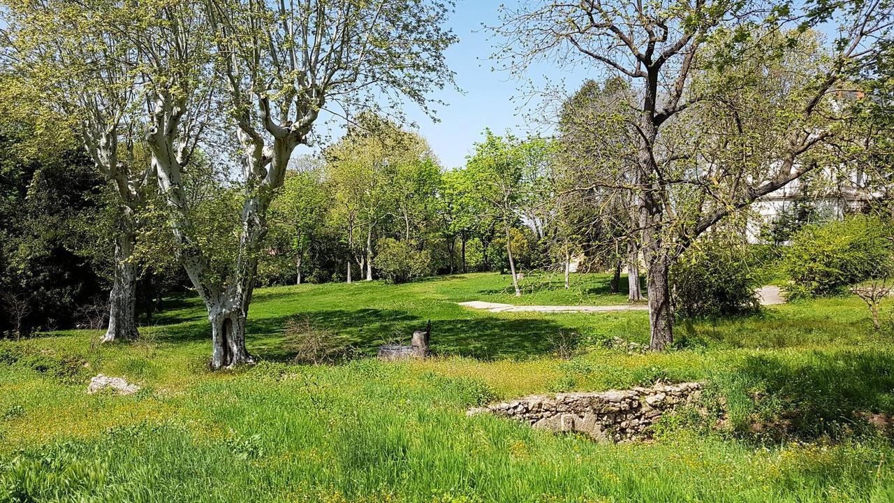 Chateau Saint Martin De Graves Aumes Dış mekan fotoğraf